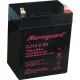 Zselés akkumulátor Alarmguard CJ12-2,9H (12V/2,9Ah)