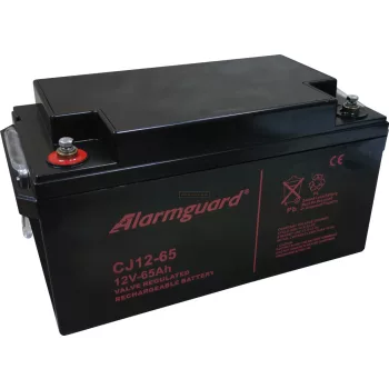 Zselés akkumulátor Alarmguard CJ12-65 (12V/65Ah)