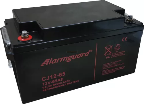 Zselés akkumulátor Alarmguard CJ12-65 (12V/65Ah)