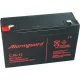 Zselés akkumulátor Alarmguard CJ6-12 (6V/12Ah)