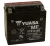 YUASA YTX14-BS